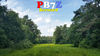 PB7Z Image